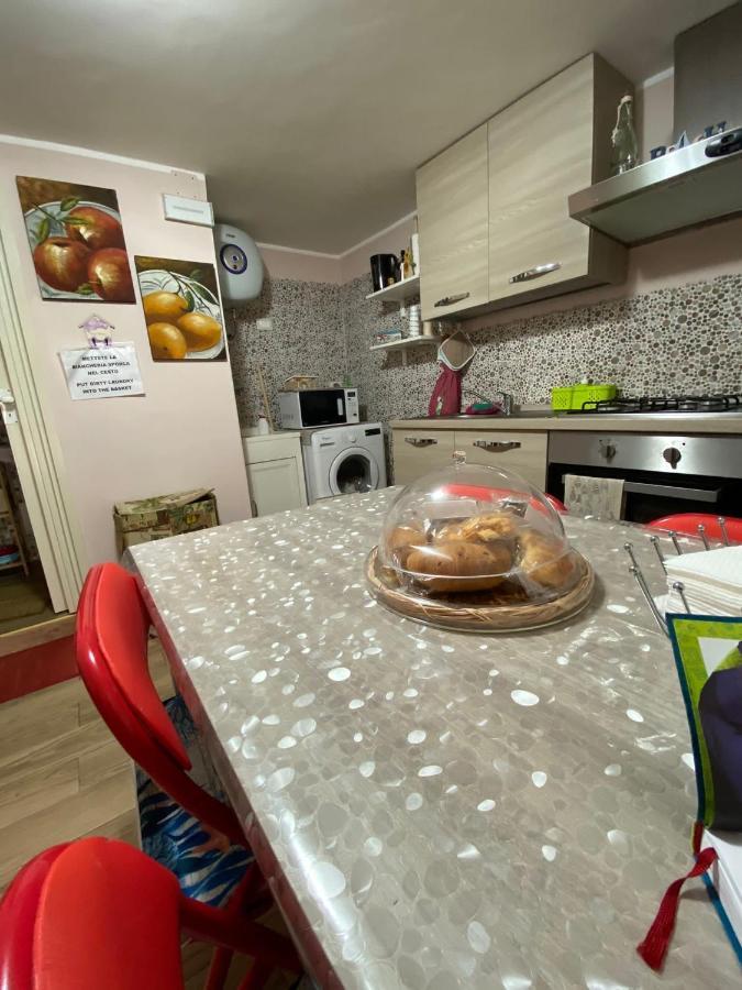 Apartment Viky House