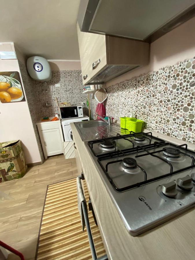 Apartment Viky House *